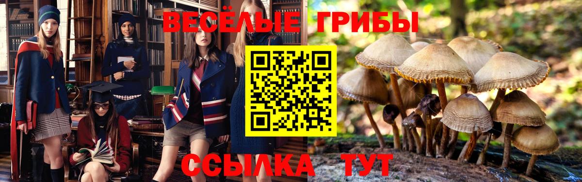 Псилоцибиновые грибы ЛСД Асино