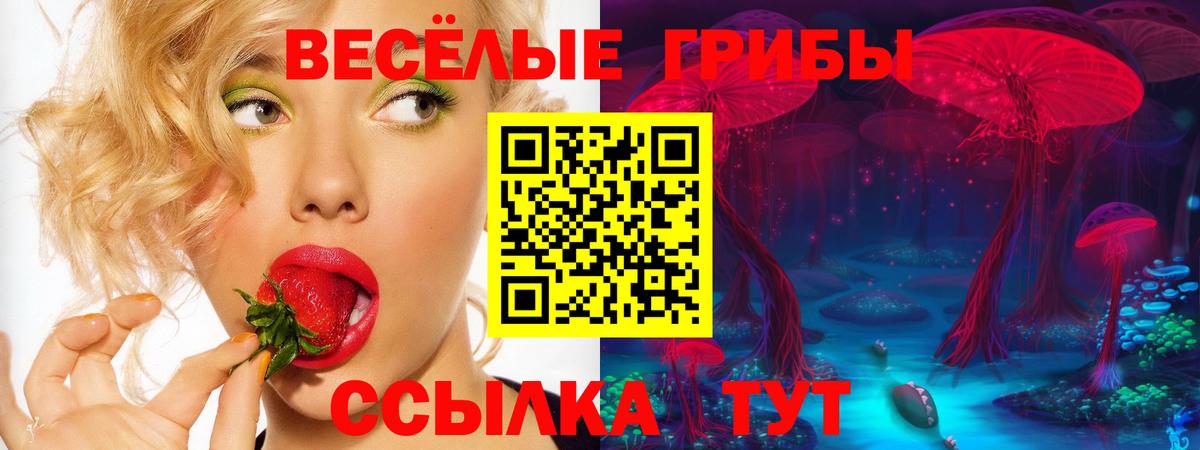 Асино  Галлюциногенные грибы Cubensis  Вход с VPN  Галлюциногенные грибы Psilocybine cubensis 