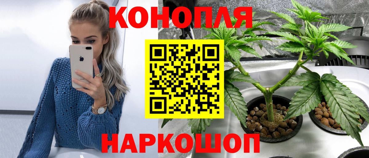 Конопля ГИДРОПОН Асино